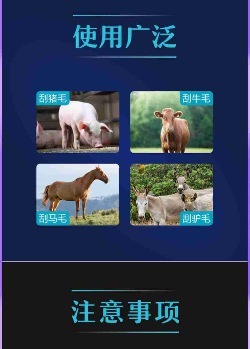 “2路印记·城市畅游专线”车身采用红白相间经典配色,还原了老2路公交车的外观。石榴云/新疆日报记者 孙芳婷摄